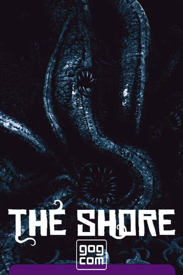The Shore