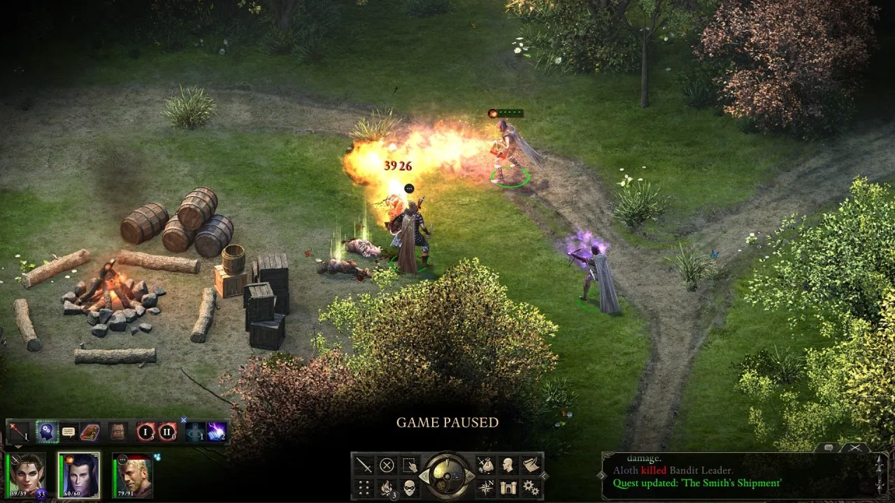Pillars of Eternity — кадр 1