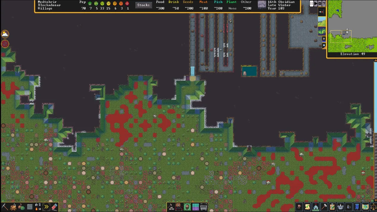 Dwarf Fortress — кадр 1