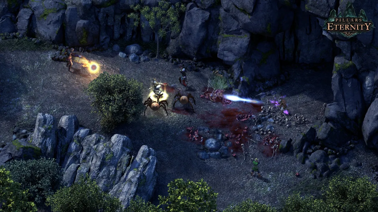 Pillars of Eternity — кадр 1