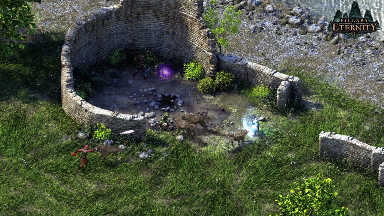 Pillars of Eternity — кадр 2