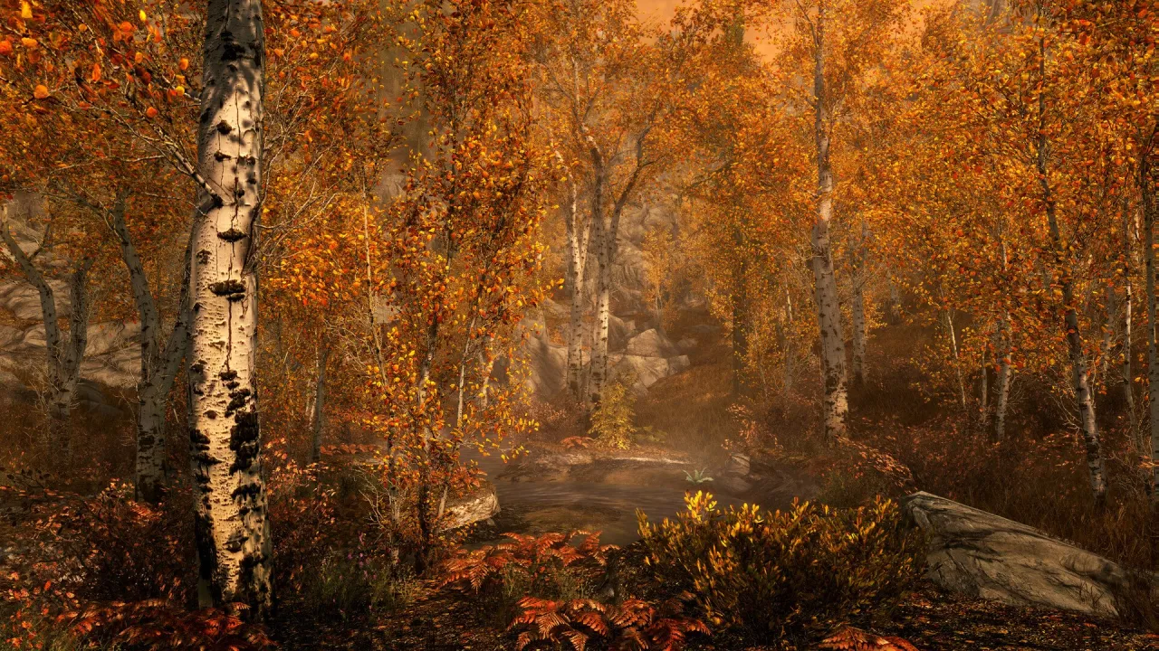The Elder Scrolls V: Skyrim — кадр 1
