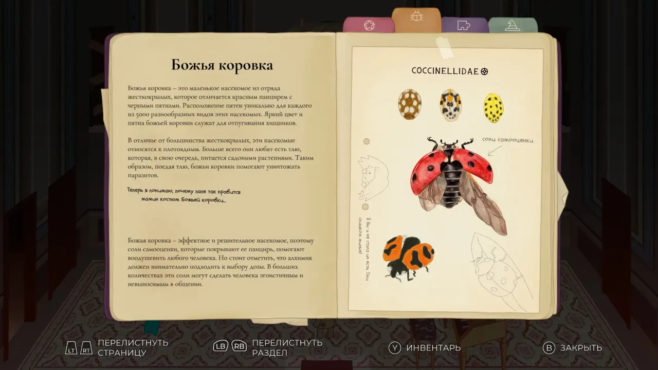 CLeM — кадр 2