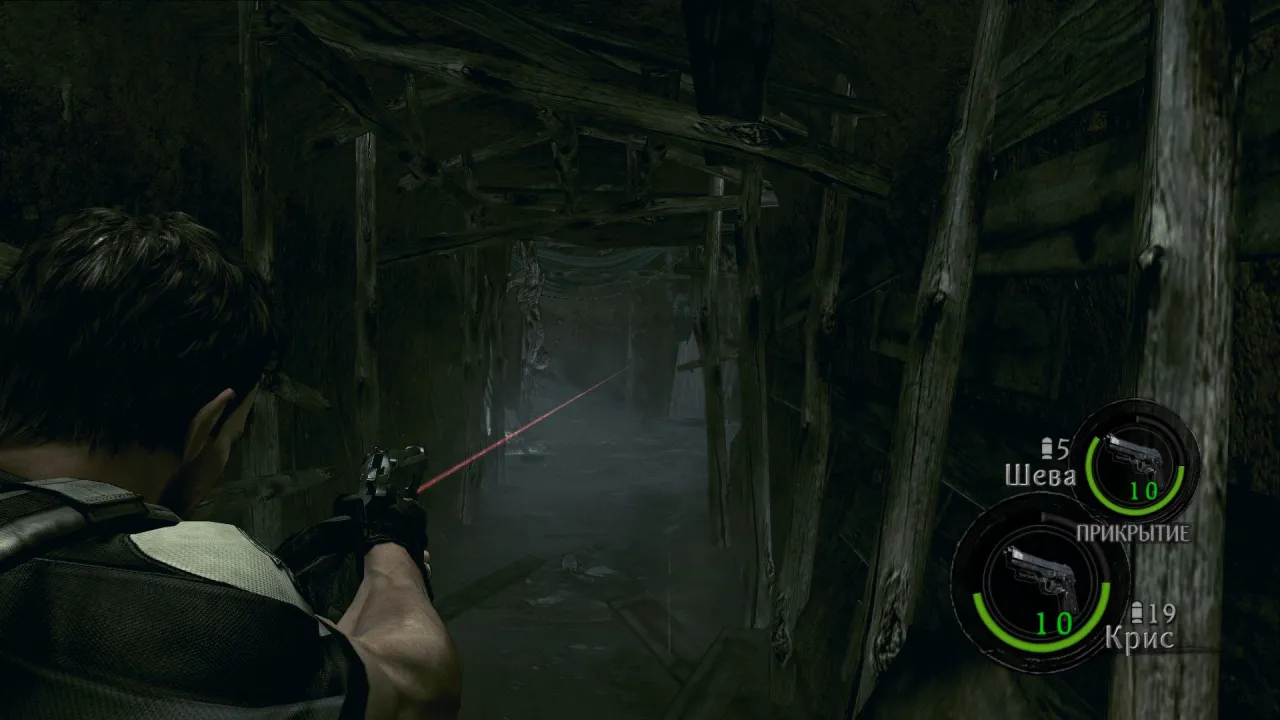 Resident Evil 5 — кадр 1