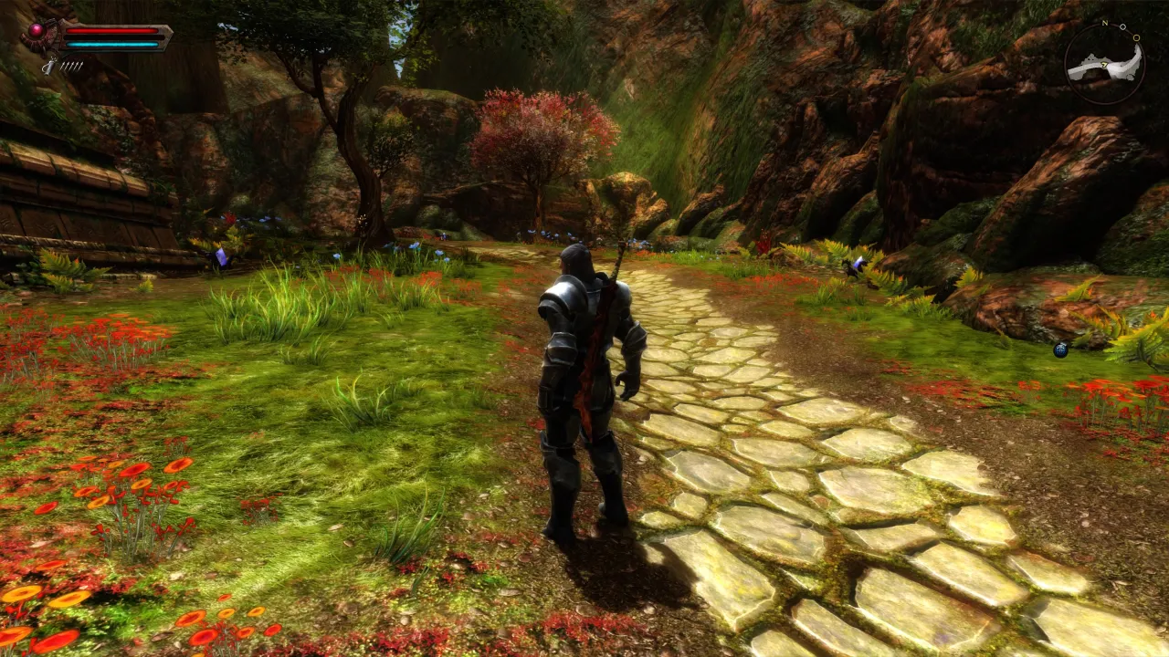 Kingdoms of Amalur: Re-Reckoning — кадр 2