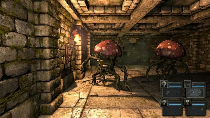 Legend of Grimrock — кадр 1