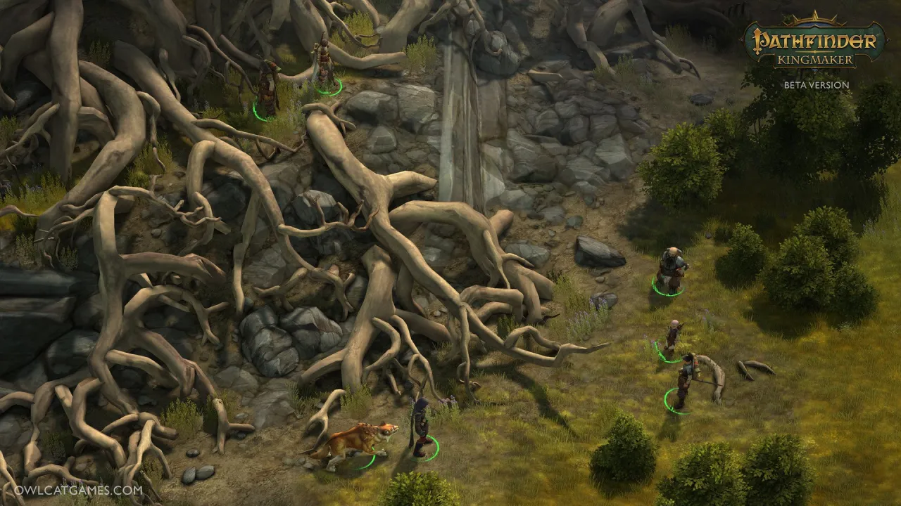 Pathfinder: Kingmaker — кадр 1