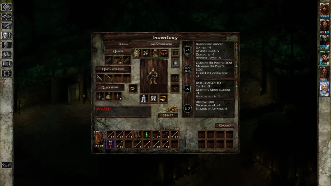 Icewind Dale — кадр 2