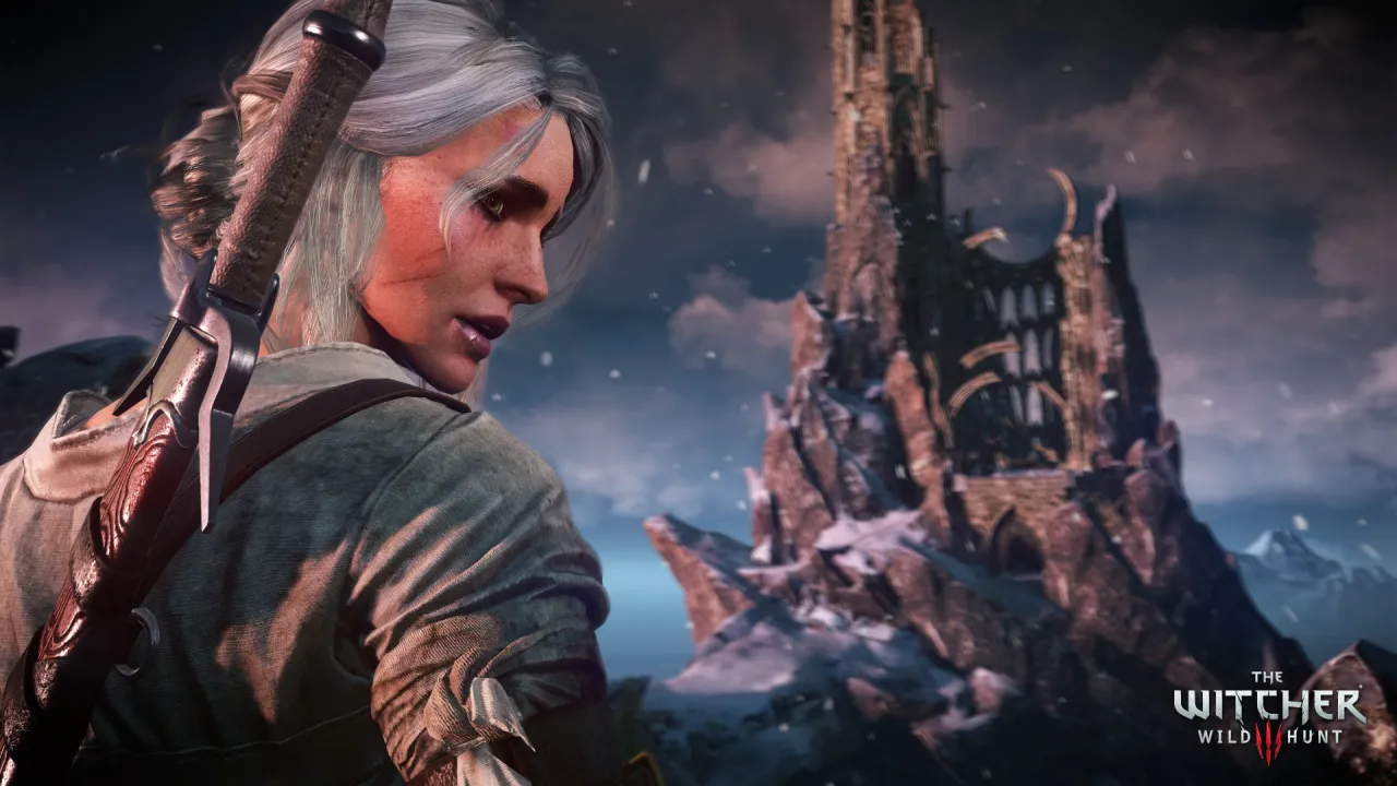 The Witcher 3: Wild Hunt — кадр 2
