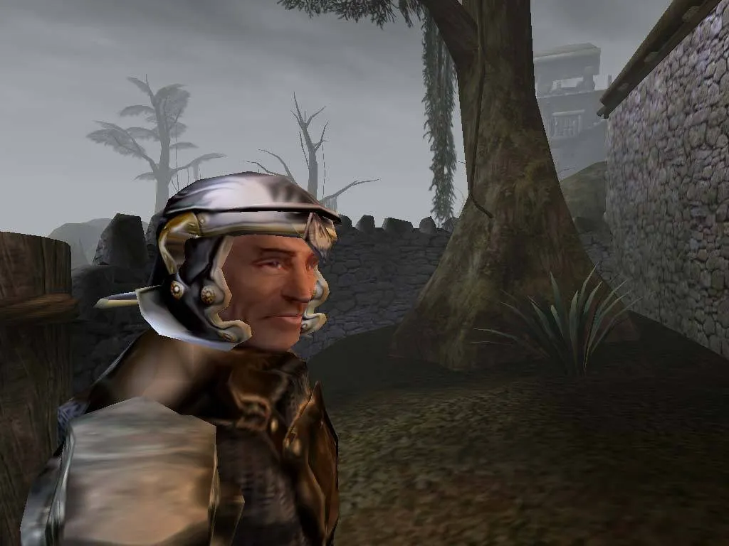 The Elder Scrolls III: Morrowind Game of the Year Edition — кадр 2