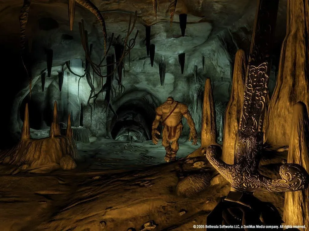 The Elder Scrolls IV: Oblivion Game of the Year Edition — кадр 1