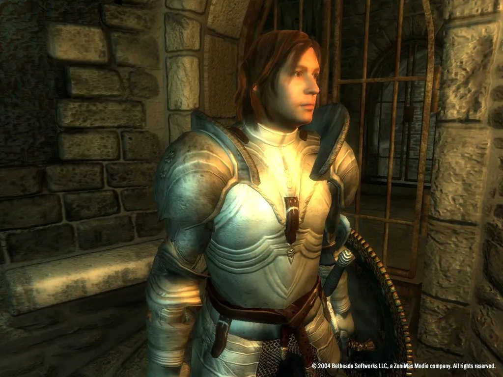 The Elder Scrolls IV: Oblivion Game of the Year Edition — кадр 2