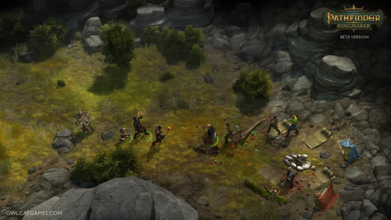 Pathfinder: Kingmaker — кадр 2