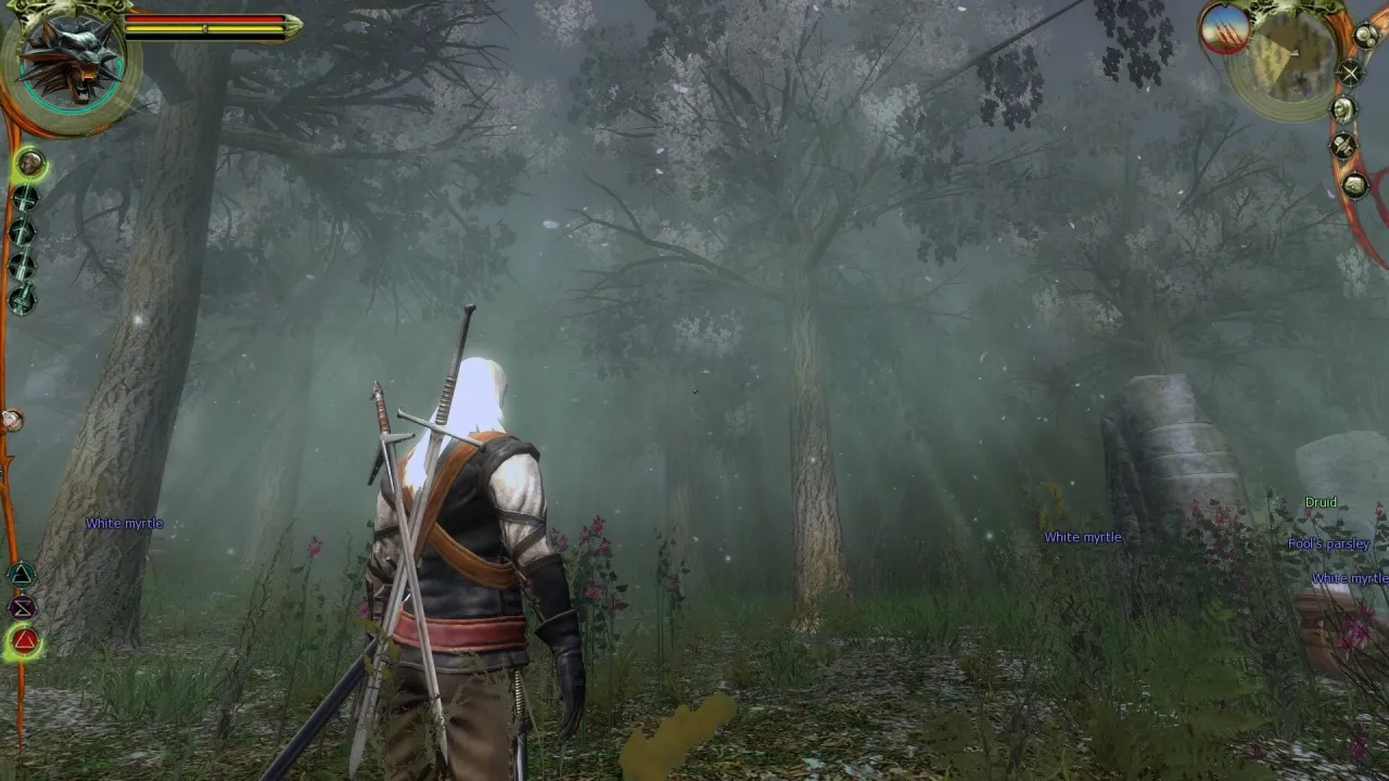 The Witcher — кадр 1
