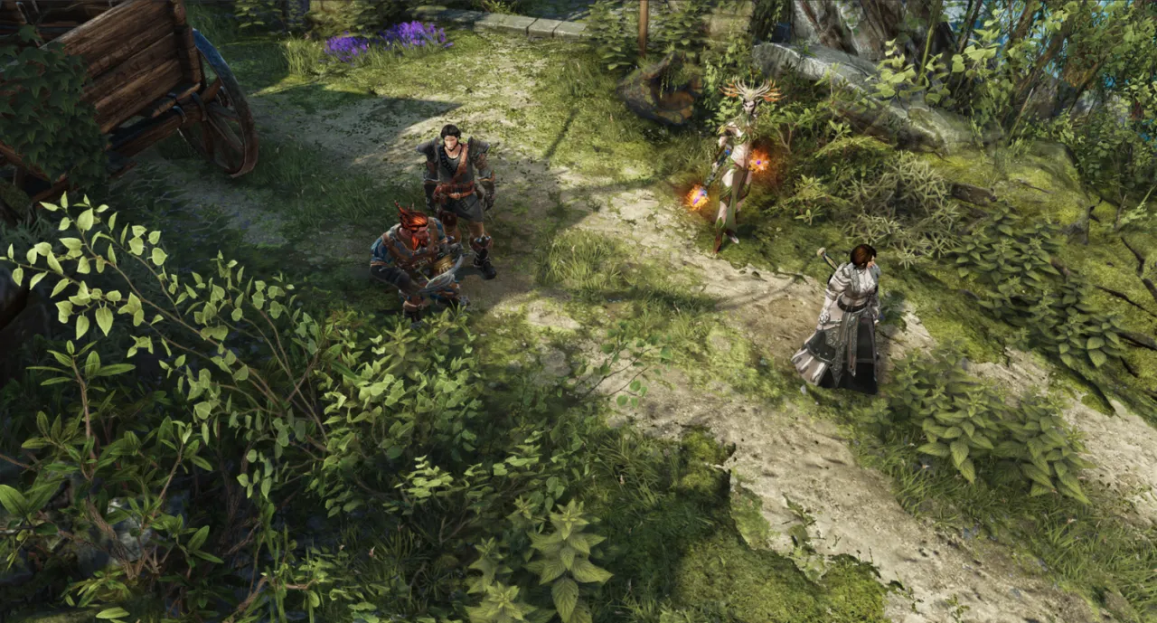 Divinity: Original Sin 2 — кадр 1