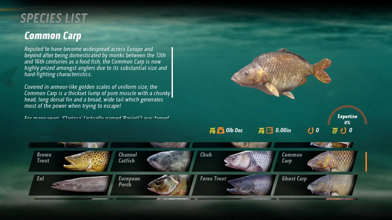 The Catch: Carp & Coarse — кадр 2