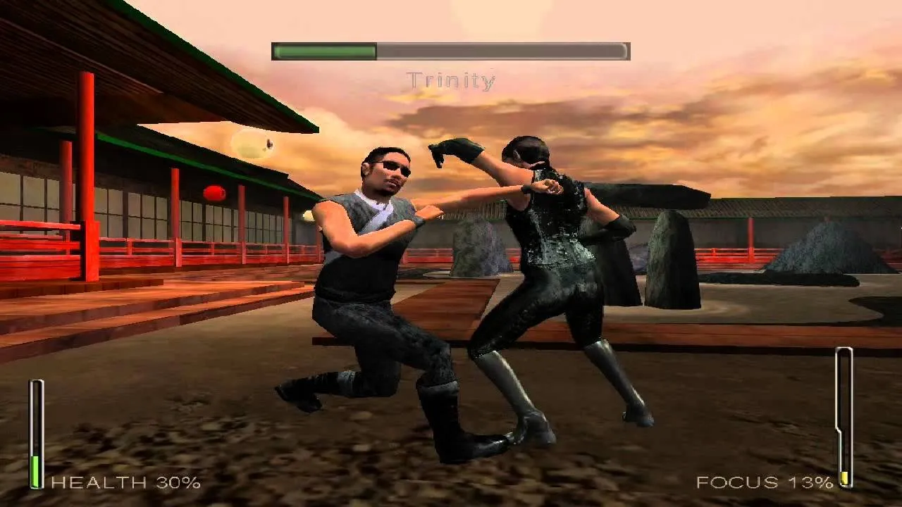 Enter the Matrix — кадр 2