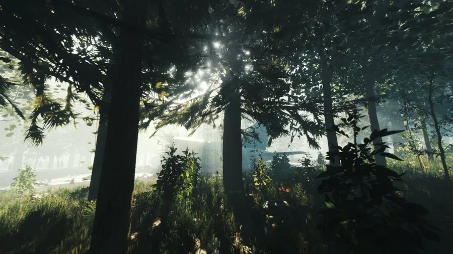 The Forest — кадр 1