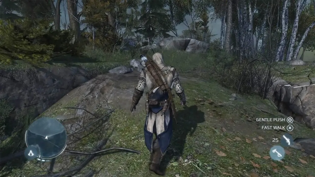 Assassin`s Creed III — кадр 1