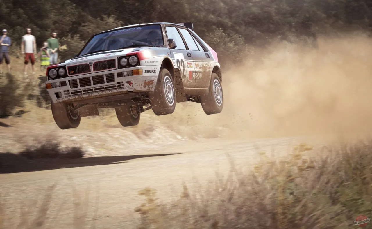 DiRT Rally — кадр 1