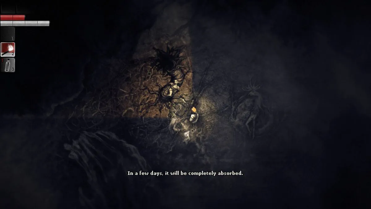 Darkwood — кадр 2
