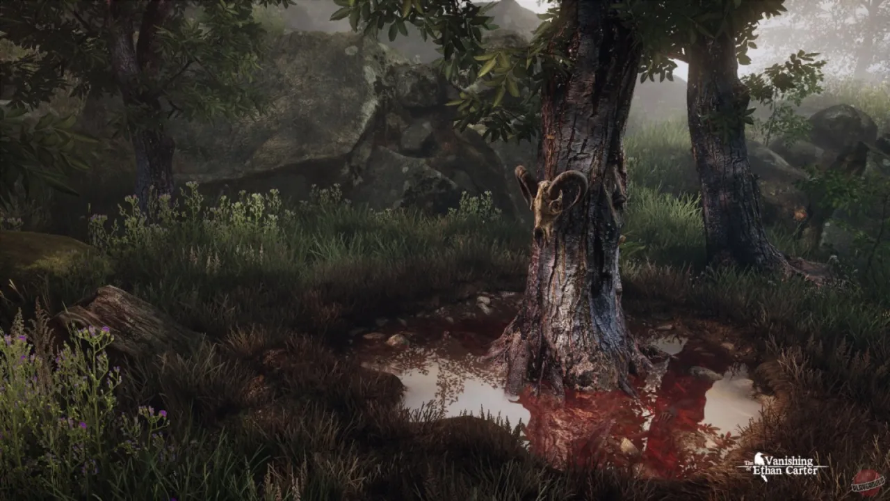 The Vanishing of Ethan Carter — кадр 2