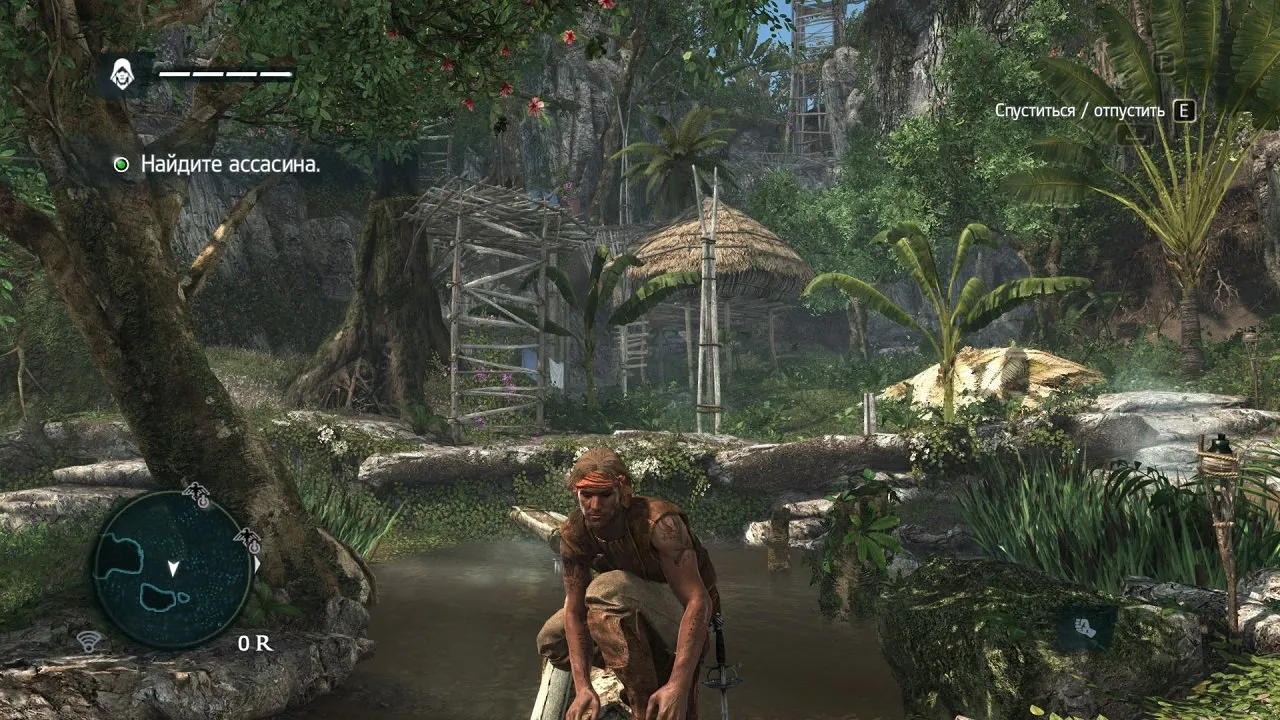 Assassin's Creed IV: Black Flag — кадр 1